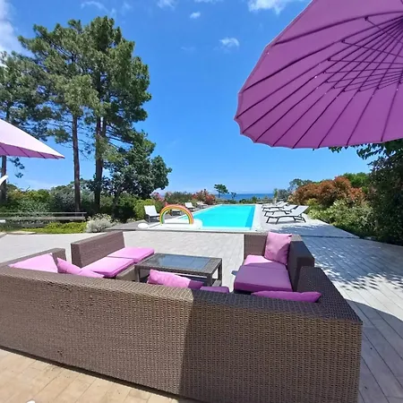펜션 Pianiccia-villa Standing- Pieds Dans L'eau-piscine Privee