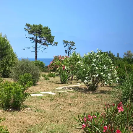 Pianiccia-villa Standing- Pieds Dans L'eau-piscine Privee 사리 솔렌자라