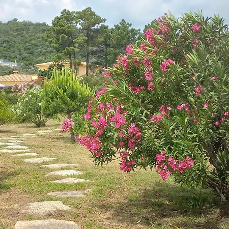 Pianiccia-villa Standing- Pieds Dans L'eau-piscine Privee