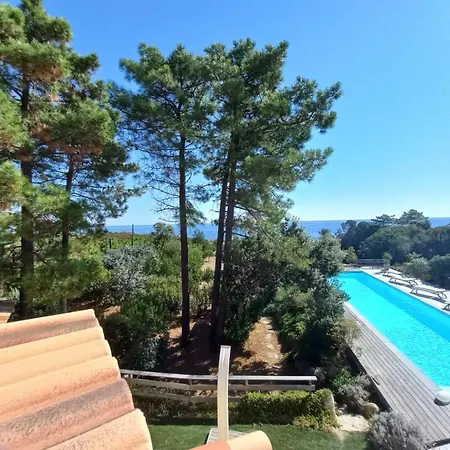 Pianiccia-villa Standing- Pieds Dans L'eau-piscine Privee *