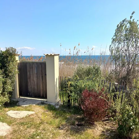 Pianiccia-villa Standing- Pieds Dans L'eau-piscine Privee * Sari-Solenzara